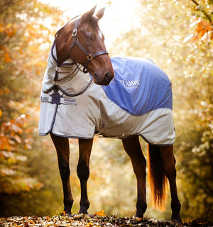 Couverture d’Extérieur Rambo® Autumn Series Horseware