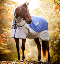 Image for Zunanja odeja Rambo® Autumn Series Horseware - zaponka z diskom, podloga 100 g in priložena vratna odeja