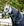 Couvre-cou Rambo® Supreme 1680D 50g Horseware