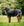 Couverture d’Extérieur Rambo® Supreme 1680D Plus 250g Vari-Layer Horseware