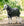Couverture d’Extérieur Rambo® Supreme 1680D Plus 250g Vari-Layer Horseware