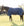 Couverture d’Extérieur Rhino® 0g Horseware
