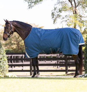 Couverture d’Extérieur Rhino® 100g Horseware
