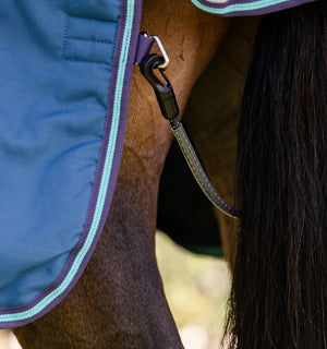 Couverture d’Extérieur Rhino® 100g Horseware