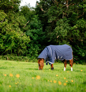 Couverture d’Extérieur Rhino® Plus 0g Horseware