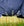 Couverture d’Extérieur Rhino® Plus 0g Horseware