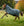 Couverture d’Extérieur Rhino® Plus 0g Horseware