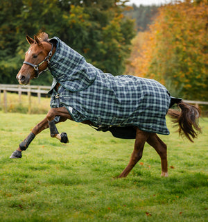 Couverture d’Extérieur Rhino® Plus 0g Horseware