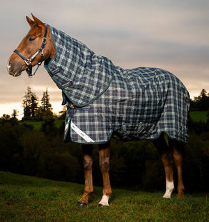 Couverture d’Extérieur Rhino® Plus 0g Horseware
