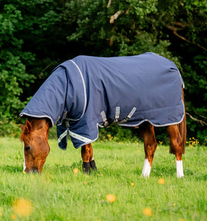 Couverture d’Extérieur Rhino® Plus 100g Horseware