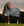 Couverture d’Extérieur Rhino® Plus 100g Horseware