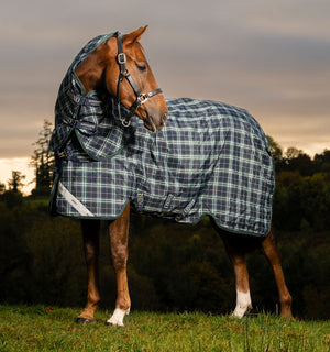 Couverture d’Extérieur Rhino® Plus 100g Horseware