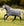 Couverture d’Extérieur Rhino® HexStop Plus 0g Horseware