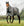 Couverture d’Extérieur Rhino® HexStop Plus 0g Horseware