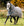 Couverture d’Extérieur Rhino® HexStop Plus Vari-Layer 250g Horseware
