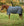 Couverture d’Extérieur Rhino® Plus 250g Vari-Layer Horseware