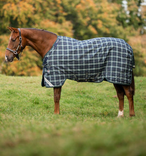 Couverture d’Extérieur Rhino® Plus 250g Vari-Layer Horseware