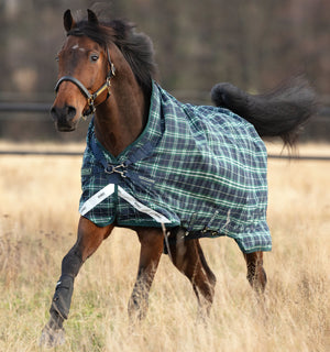 Couverture d’Extérieur Rhino® Wug 100g Horseware