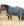 Couverture d’Extérieur Rhino® Wug 100g Horseware