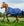 Couverture d’Extérieur Rhino® Wug 0g Horseware