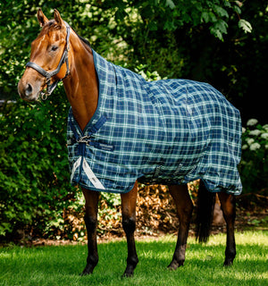 Couverture d’Extérieur Rhino® Wug 0g Horseware