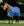 Couverture d’Extérieur Rhino® Wug 250g Vari-Layer Horseware