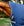 Couverture d’Extérieur Rhino® Wug 450g Vari-Layer Horseware