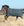 Couverture d’Extérieur Rhino® Wug 450g Vari-Layer Horseware