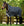 Couverture d’Extérieur Rhino® Wug 450g Vari-Layer Horseware