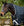 Couverture d’Extérieur Rhino® Wug 450g Vari-Layer Horseware