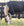 Couverture d’Extérieur Rhino® Wug Poney 0g Horseware