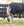 Couverture d’Extérieur Rhino® Wug Poney 250g Vari-Layer Horseware