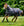 Ensemble Couverture d’Extérieur Rambo® Duo Ripstop Plus 100g + Doublures 100g et 200g Horseware