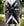 Couverture d’Extérieur Rambo® 1680D 0g Horseware