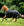 Couverture d’Extérieur Rambo® 1680D 100g Horseware