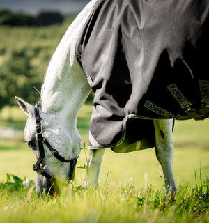 Couverture d’Extérieur Rambo® 1680D 450g Vari-Layer Horseware