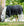 Couverture d’Extérieur Rambo® 1680D 450g Vari-Layer Horseware