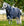 Couverture d’Extérieur Rambo® 1680D Plus 100g Horseware