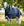 Couverture d’Extérieur Rambo® 1680D Plus 100g Horseware