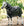 Couverture d’Extérieur Rambo® 1680D Plus 100g Horseware