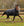 Couverture d’Extérieur Horseware® Trot Plus 350g