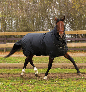 Couverture d’Extérieur Horseware® Trot Plus 350g
