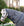 Couverture d’Extérieur Rhino® HexStop Plus Poney 0g Horseware