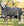 Couverture d’Extérieur Rhino® HexStop Plus Poney 250g Vari-Layer Horseware