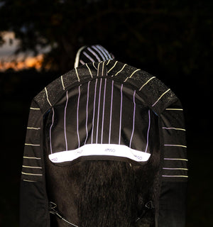 Couverture d’Extérieur Amigo® 1200D FieldSafe Reflectech Plus 250g Horseware