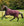 Couverture d’Extérieur Amigo® 1200D 0g Horseware