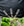 Couverture d’Extérieur Amigo® 1200D 50g Horseware