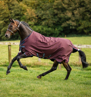 Couverture d’Extérieur Amigo® 1200D 50g Horseware
