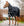 Couverture d’Extérieur Intégrale Amigo® 1200D 150g Horseware