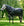 Couverture d’Extérieur Amigo® 1200D Plus 50g Horseware